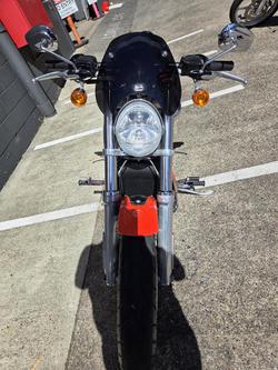 2007 Harley-Davidson Screamin' Eagle V-Rod 1250 (VRSCSE)