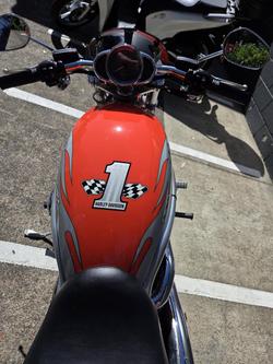 2007 Harley-Davidson Screamin' Eagle V-Rod 1250 (VRSCSE)