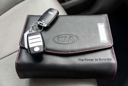 2016 Kia Carnival SLi