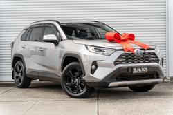 2020 Toyota RAV4 Cruiser