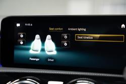 2021 Mercedes-Benz A-Class A250