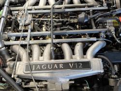 1991 Jaguar XJS V12
