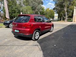 2011 Volkswagen Tiguan 103TDI 5N MY11 Four Wheel Drive Titanium Beige