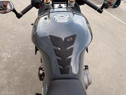 2024 Yamaha XSR900GP (MTM890ASP)