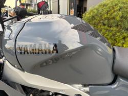 2024 Yamaha XSR900GP (MTM890ASP)