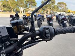 2024 Indian FTR SPORT Grey