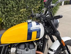 2026 Royal Enfield BEAR 650 Yellow
