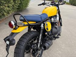 2026 Royal Enfield BEAR 650 Yellow