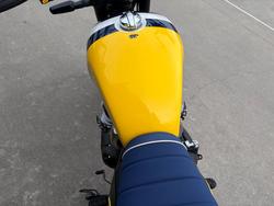 2026 Royal Enfield BEAR 650 Yellow