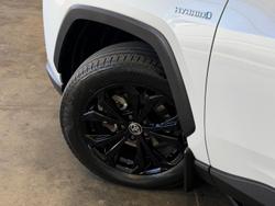 2023 Toyota RAV4 Cruiser