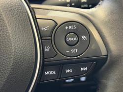 2023 Toyota RAV4 Cruiser