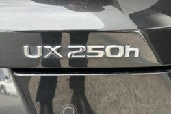 2023 Lexus UX 250h Luxury