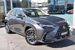 2023 Lexus NX 250