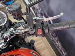 2019 Kawasaki Z900RS (ZR900C) BROWN