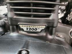 2025 Triumph Speed Twin 1200 RS Speed Twin Orange