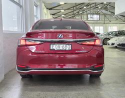 2021 Lexus ES 300h Sports Luxury