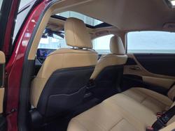 2021 Lexus ES 300h Sports Luxury