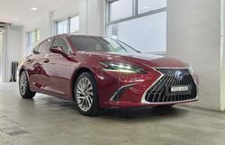 2021 Lexus ES 300h Sports Luxury