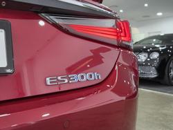 2021 Lexus ES 300h Sports Luxury