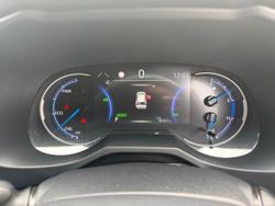 2021 Toyota RAV4 Cruiser