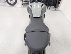 2026 Triumph TRIDENT 660 (LAMS) grey