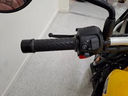 2026 Triumph SPEED 400 Yellow