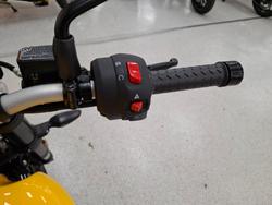 2026 Triumph SPEED 400 Yellow