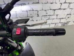 2025 Kawasaki Z500 (ER500) Z Green