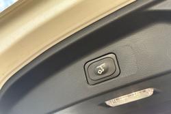 2025 Ford Everest Trend