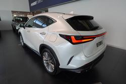 2024 Lexus NX 350h Sports Luxury