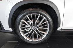 2024 Lexus NX 350h Sports Luxury