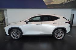 2024 Lexus NX 350h Sports Luxury