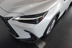 2024 Lexus NX 350h Sports Luxury