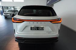2024 Lexus NX 350h Sports Luxury