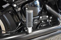 2020 HARLEY-DAVIDSON FLSL SOFTAIL SLIM (107)