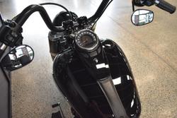 2020 HARLEY-DAVIDSON FLSL SOFTAIL SLIM (107)