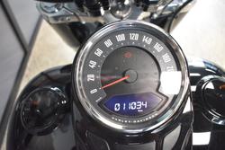 2020 HARLEY-DAVIDSON FLSL SOFTAIL SLIM (107)