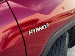 2023 Toyota RAV4 Cruiser AXAH54R 4X4 On Demand Atomic Rush