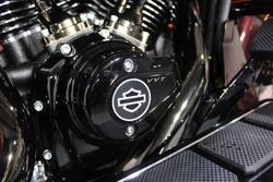 2024 HARLEY-DAVIDSON FLHXSE CVO STREET GLIDE (121)