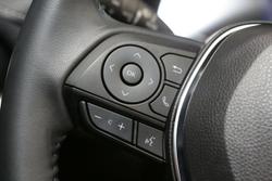 2025 Toyota RAV4 Cruiser