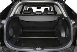 2025 Toyota RAV4 Cruiser