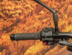 2026 Triumph Trident 800 Trident Red