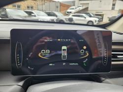 2025 GWM Cannon Vanta