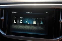 2021 GWM Ute Cannon-X