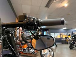 2019 HARLEY-DAVIDSON XL883N IRON 883