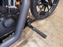 2019 HARLEY-DAVIDSON XL883N IRON 883