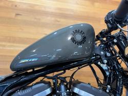 2019 HARLEY-DAVIDSON XL883N IRON 883