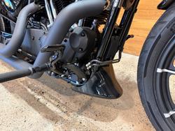 2019 HARLEY-DAVIDSON XL883N IRON 883