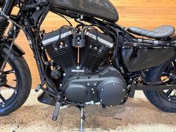 2019 HARLEY-DAVIDSON XL883N IRON 883