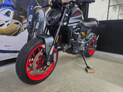 2022 DUCATI MONSTER Grey